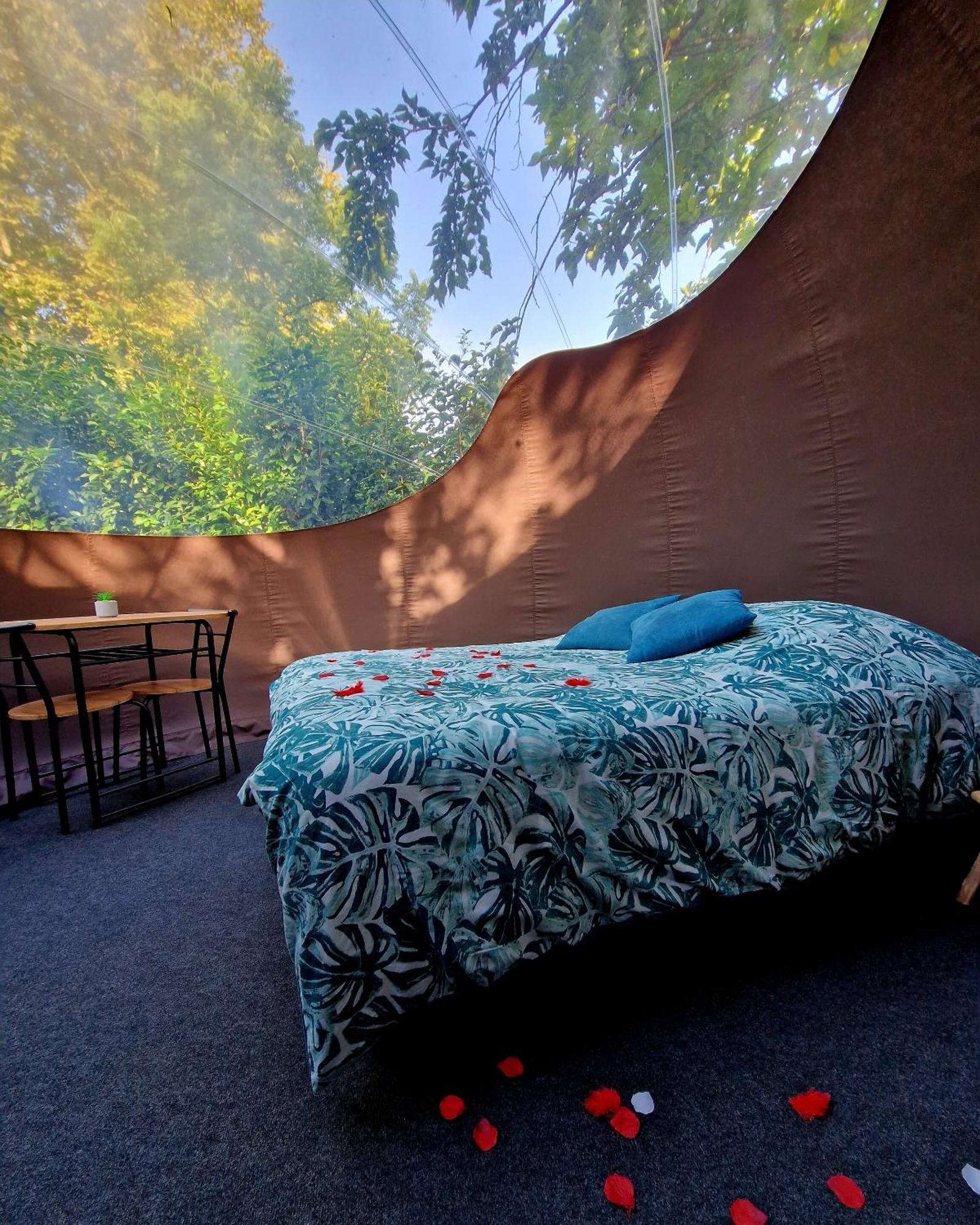 Bed and Breakfast Les Nuits De Cassiopee Sorde-lʼAbbaye Zimmer foto